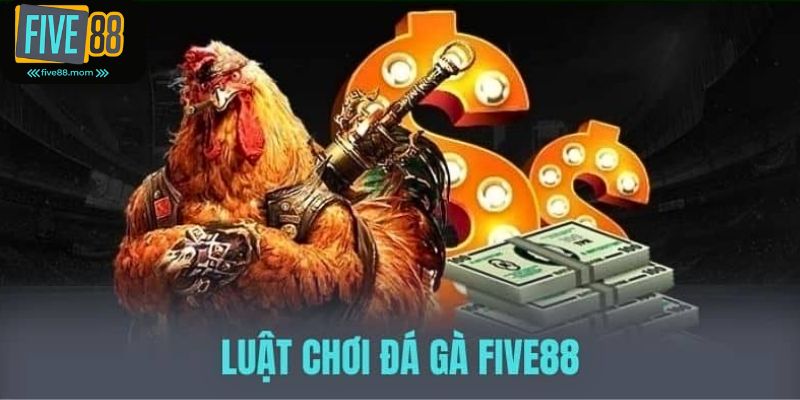 Khái quát về sân chơi đá gà Five88